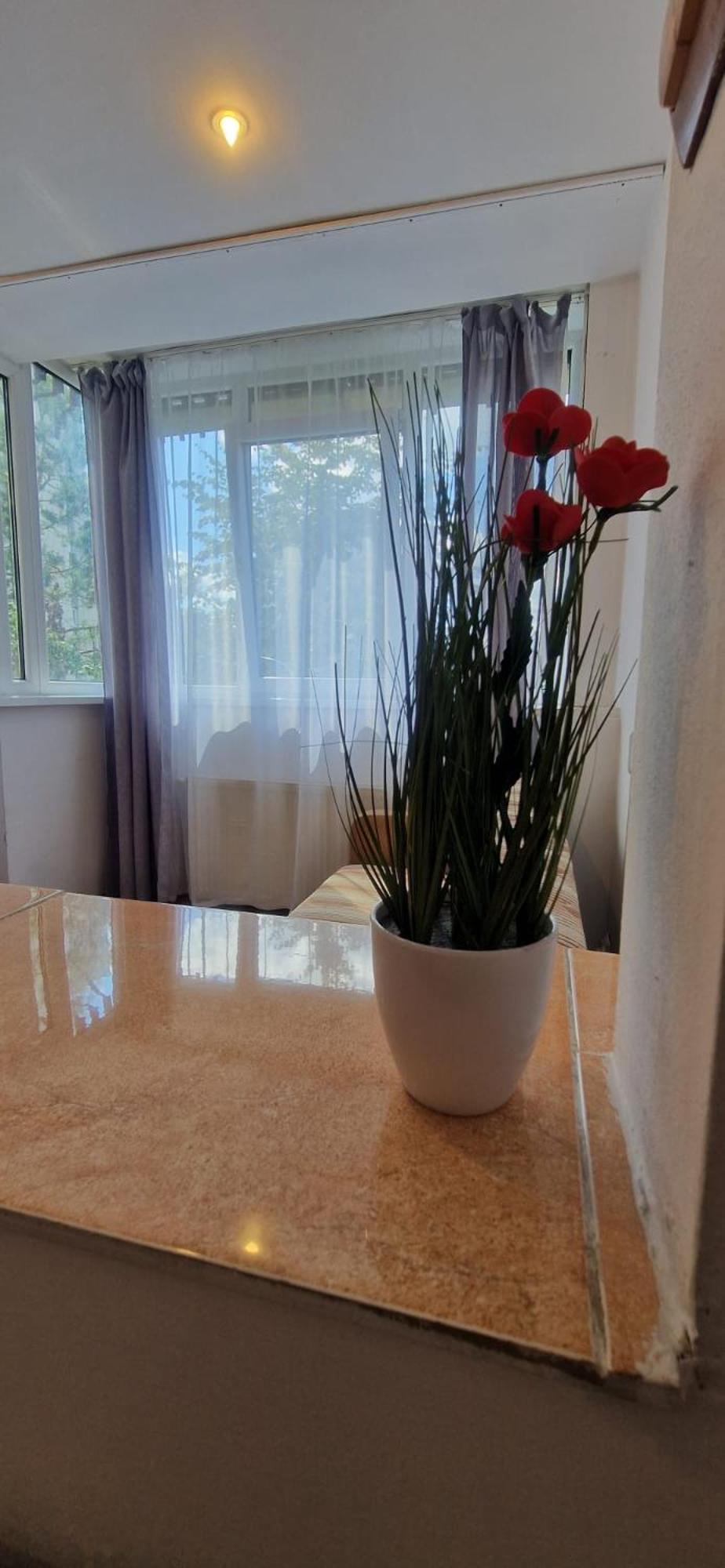 Stephanie Apartment-Centru Civic Brassó Kültér fotó