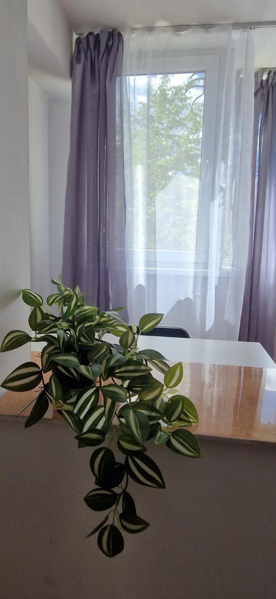 Stephanie Apartment-Centru Civic Brassó Kültér fotó